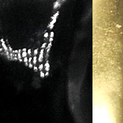 Collier Ellen — Noir, vue 3 ; référence CO0142FAB4B08B01BK
